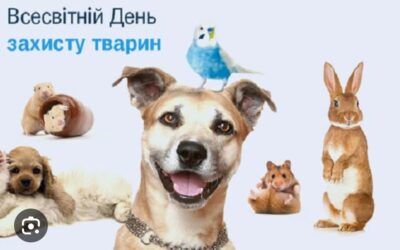 4 жовтня, учні та учениці 1-А на уроці курсу «Я досліджую світ» почули про історію Всесвітнього дня захисту тварин.