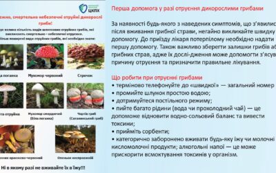 Пам’ятка ДУ «ДОНЕЦЬКИЙ ОЦКІХ МОЗ» щодо профілактики отруєнь немікробної етіології