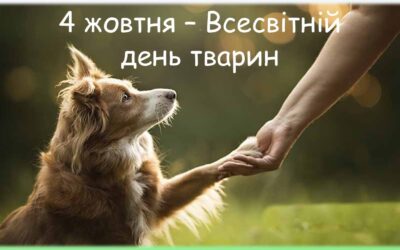 До Всесвітнього Дня тварин у 6-Б класі проведено урок Доброти!